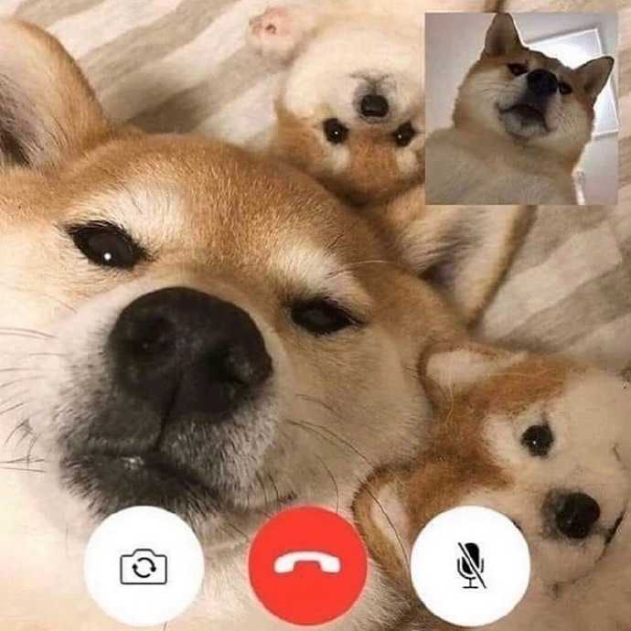 12条诙谐幽默的朋友圈文案,搞怪文案短句沙雕