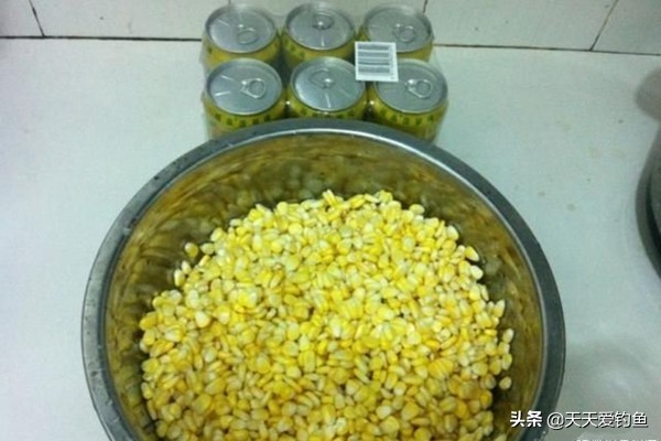 素饵钓鱼绝密配方,野钓玉米饵料排行