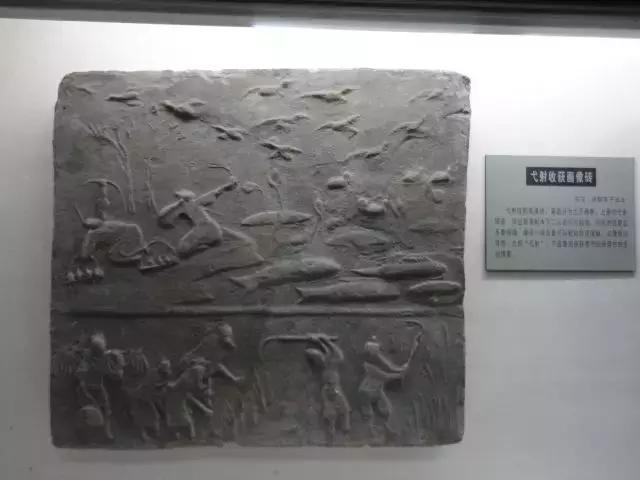 照着影视剧学射箭？当心得病！