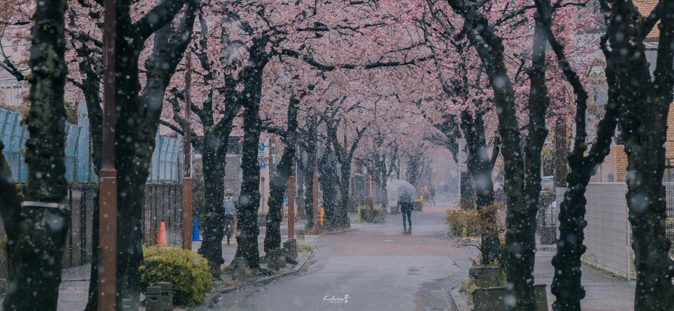 刚刚,我读了《刚刚》