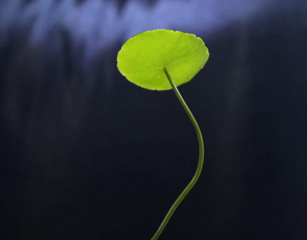 期货专注一个品种最容易赚大钱,期货专注一个品种有用吗