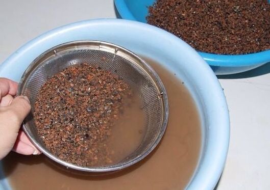 石斛兰用煤渣好吗,怎样用锯末养石斛兰