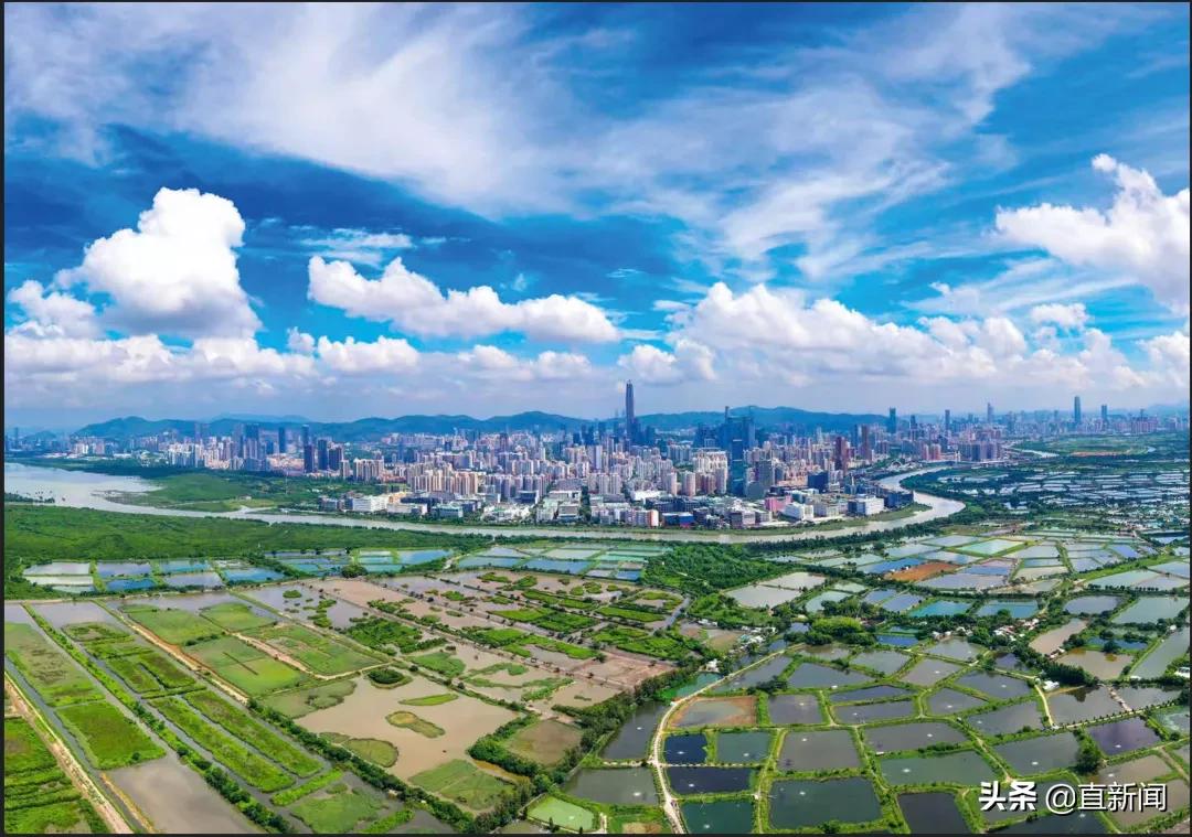 香港北部都会区对深圳哪个区利好,香港北部都会区盐田