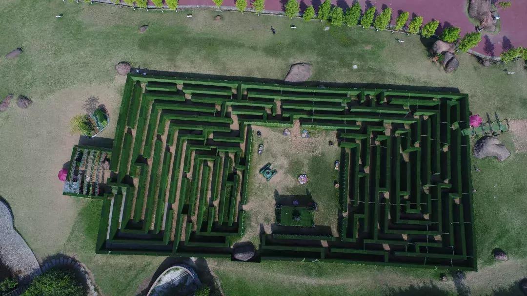 元宵花灯太美了,春季赏花郁金香太美了