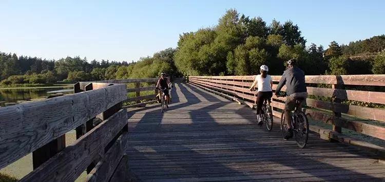 维多利亚国际排行,维多利亚城市风光