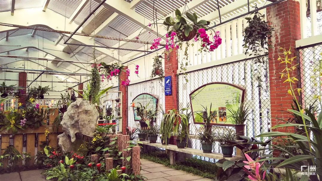 广州，说好了！等你痊愈后，这100件事我们一起完成。