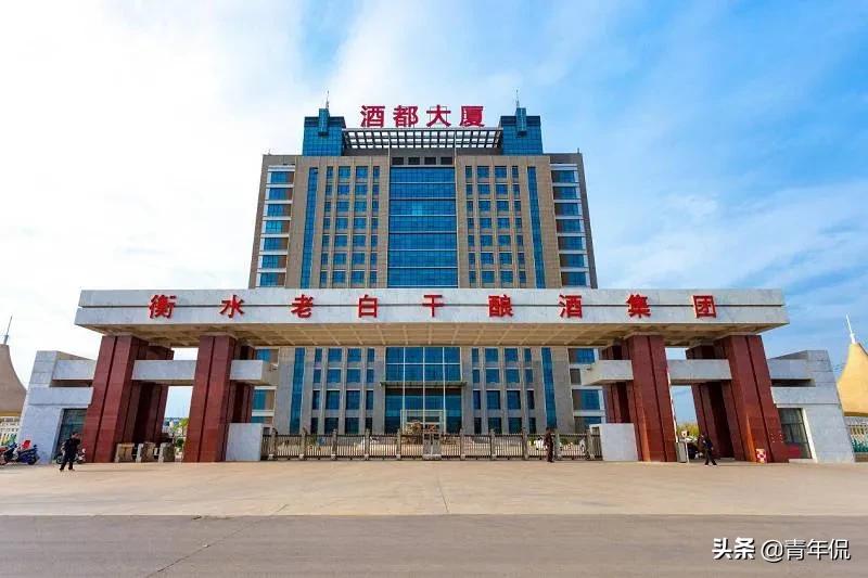 河北省三届“酒王”的更替，老白干是如何成为“河北酒王”的？