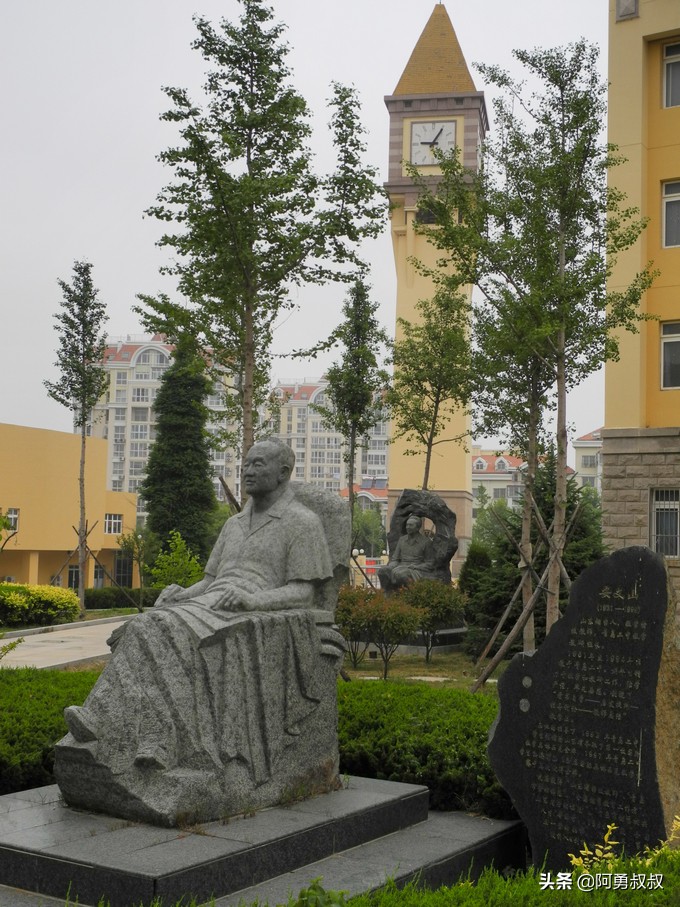 青岛二中2019高考成绩,经验分享大学专业