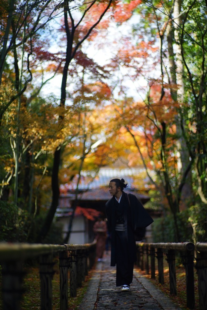 京都赏枫2022,京都赏枫必去景点有哪些好玩的