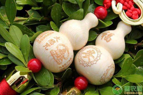 今日葫芦价格15颗多少钱,今年的葫芦价格好吗