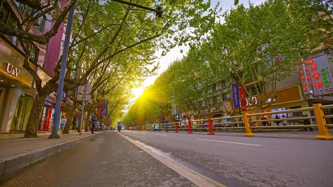 最美的人间四月天演唱视频,最美的人间四月天如约而至