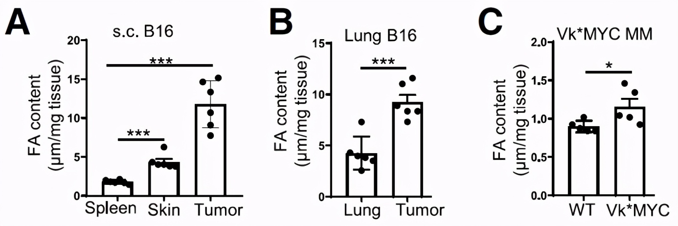 CD36介导铁死亡会抑制CD8+T细胞功能削弱其抗肿瘤