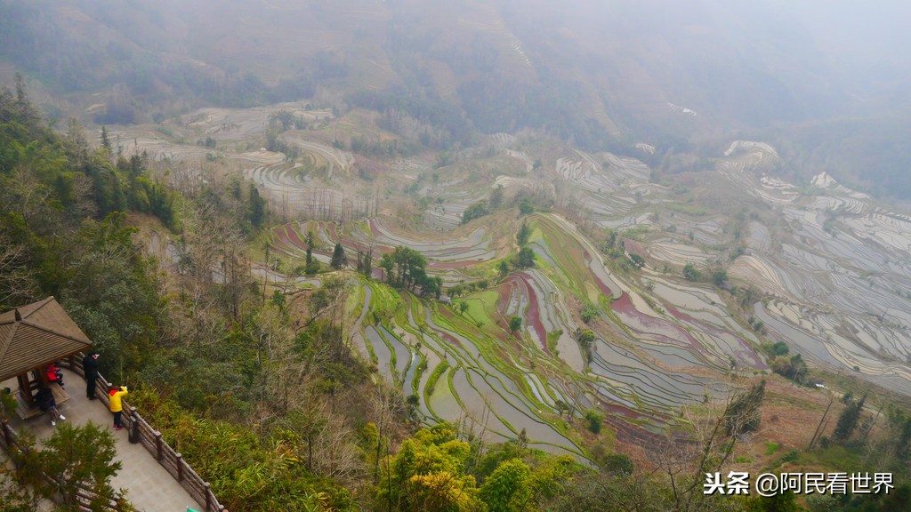云南普者黑元阳坝美6天旅游攻略,云南建水普者黑旅游路线