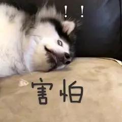 区块链躺赚,用区块链赚钱违法吗