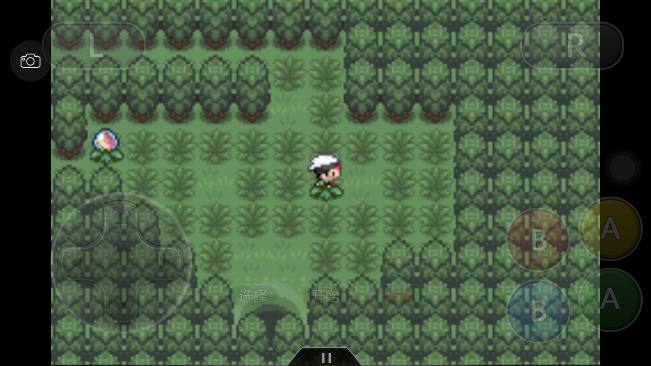 究极绿宝石5.3如何才算完成一周目,口袋妖怪之究极绿宝石5攻略