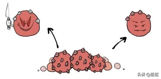 3.8妇女节可以打hpv疫苗吗,三八妇女节关爱他人