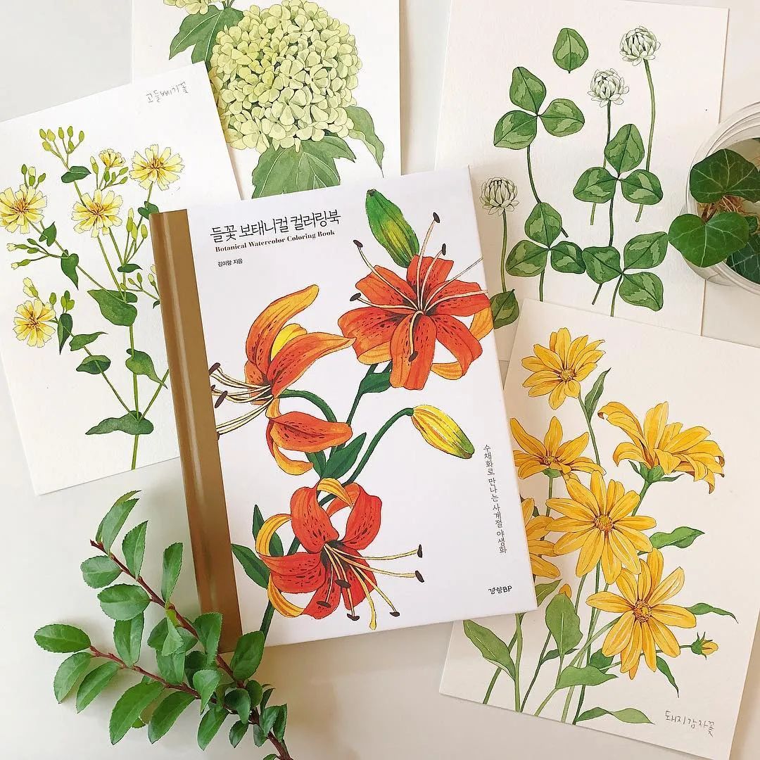 超美水彩画治愈,韩国女孩画画