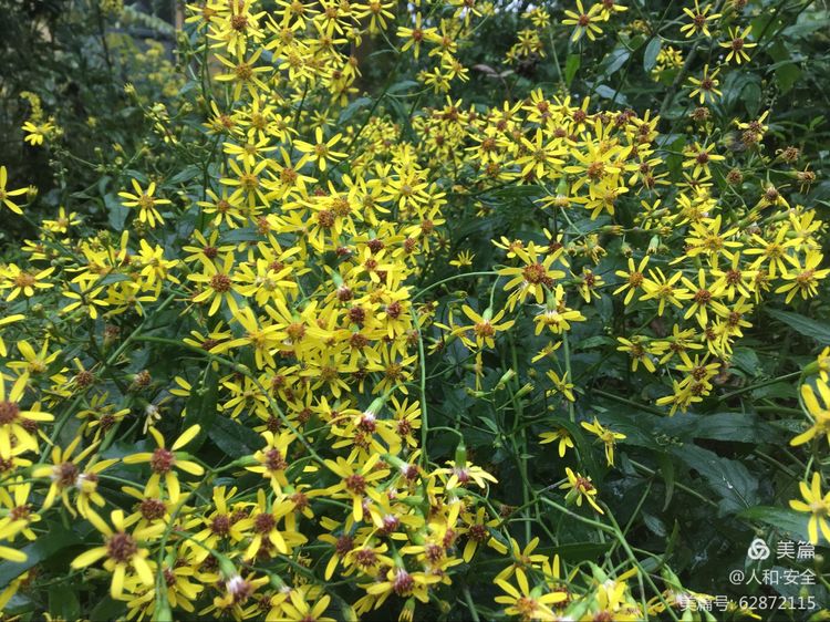 陕西省渭南市临渭区人和小学,临渭区人和小学