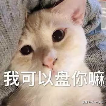 cpb肌肤之钥保质期多久,cpb肌肤之钥水乳三件套批号