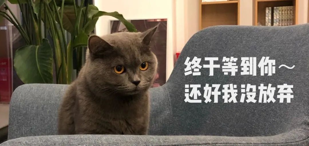 怎么从德国进口农机,从德国购买进口设备流程