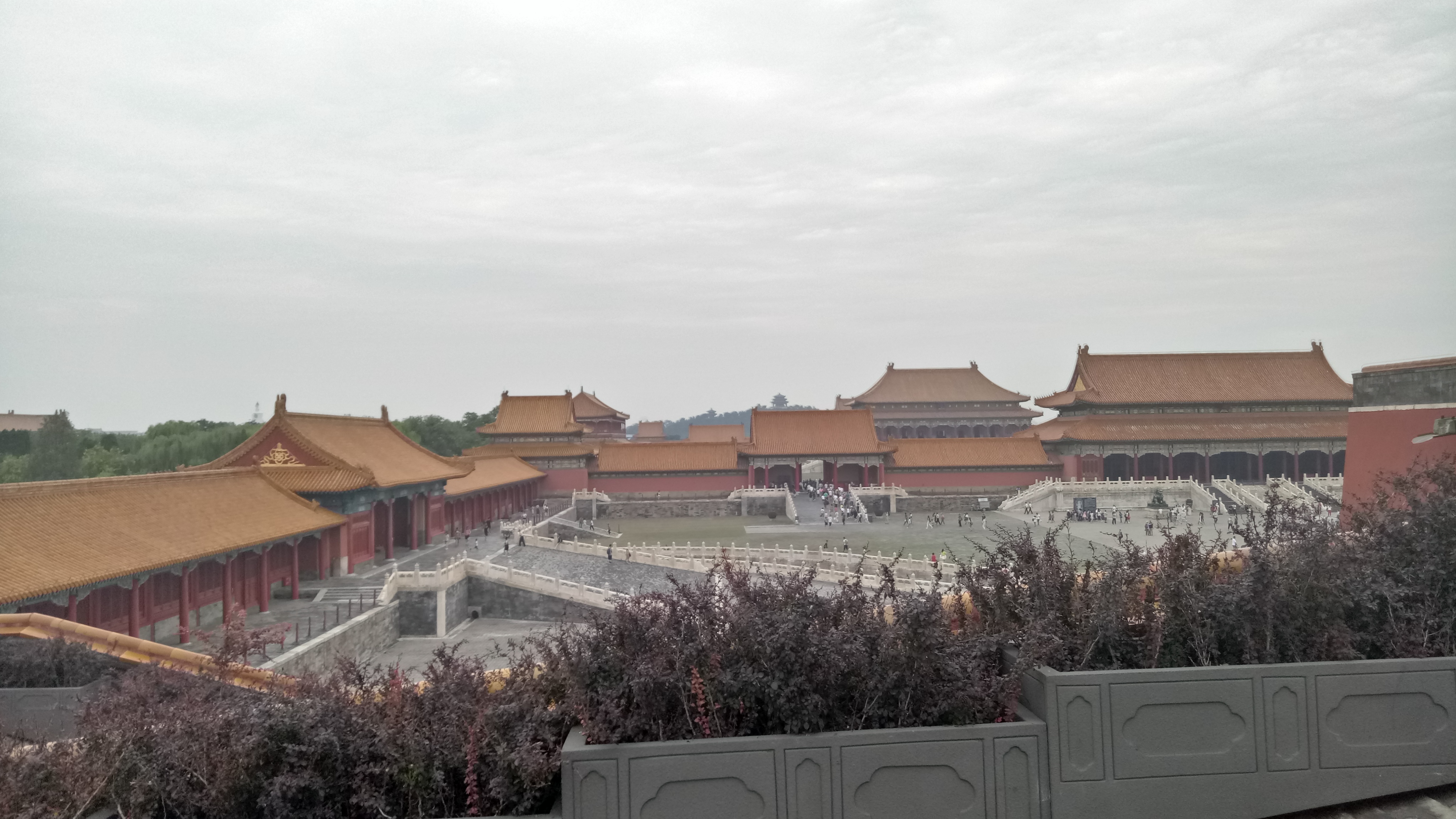 宅家又如何?翻开相册!浙大学子带你进行回忆式线上旅游!