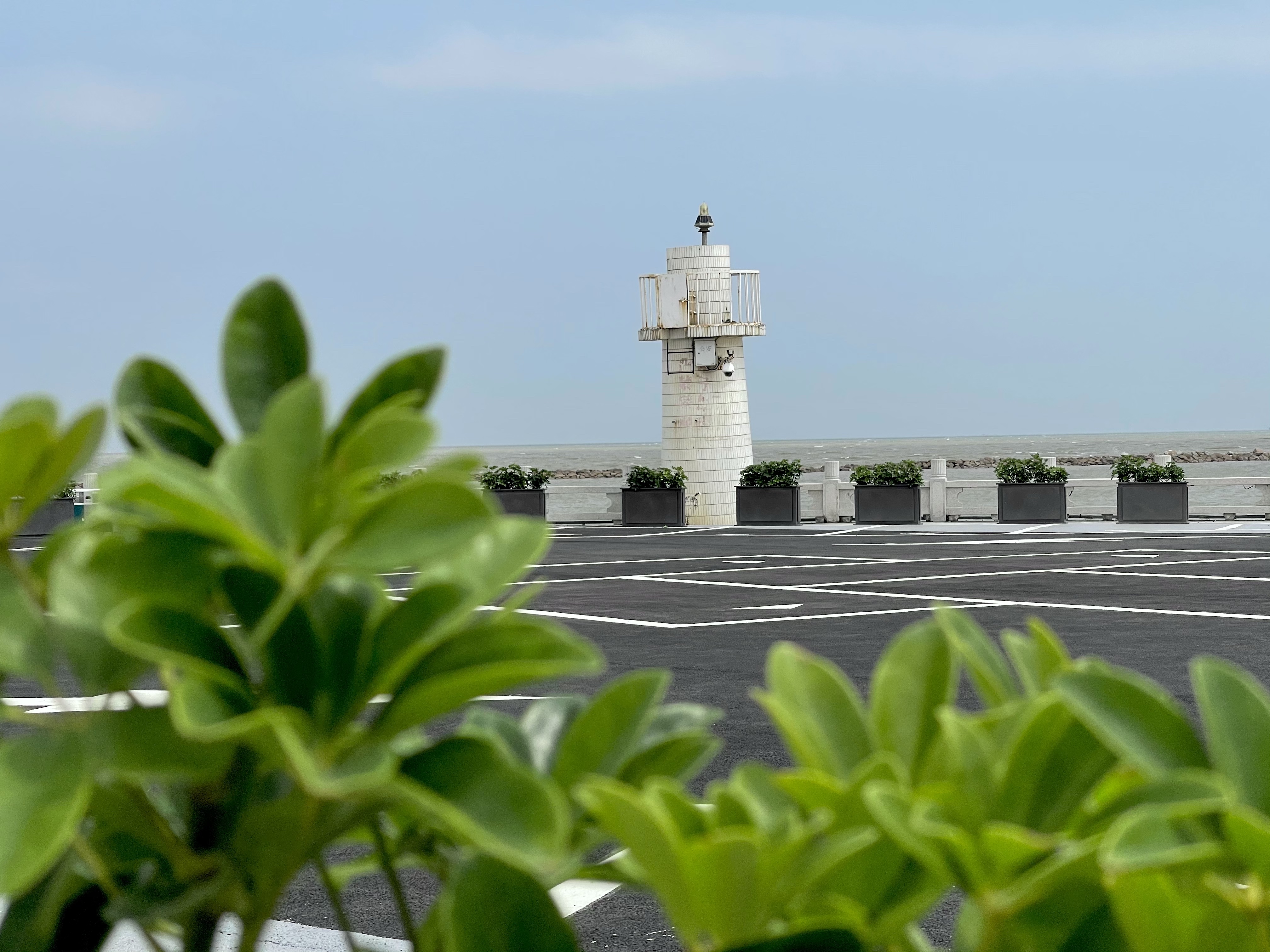 澳门之行最贴心的旅游攻略,澳门之行旅游攻略