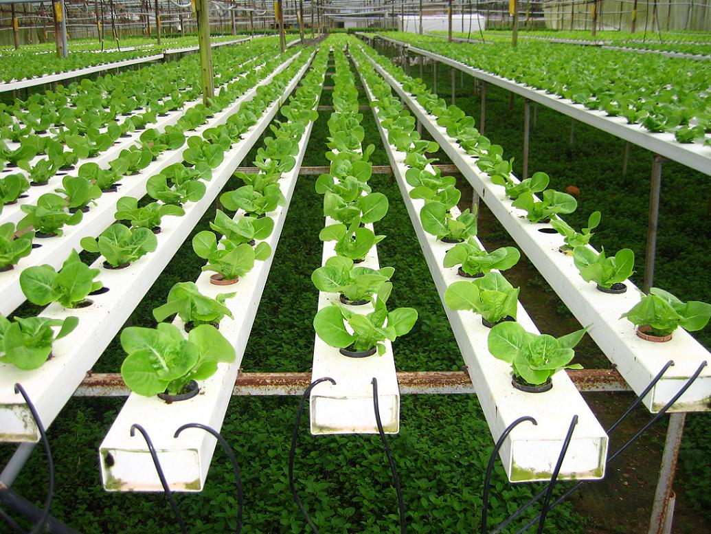 激素催熟着色副作用大！现在都用它