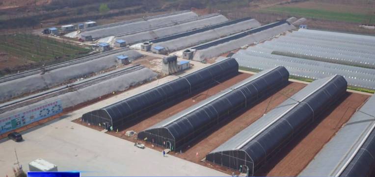 临淄齐陵街道办美丽宜居乡村建设,临淄宜居