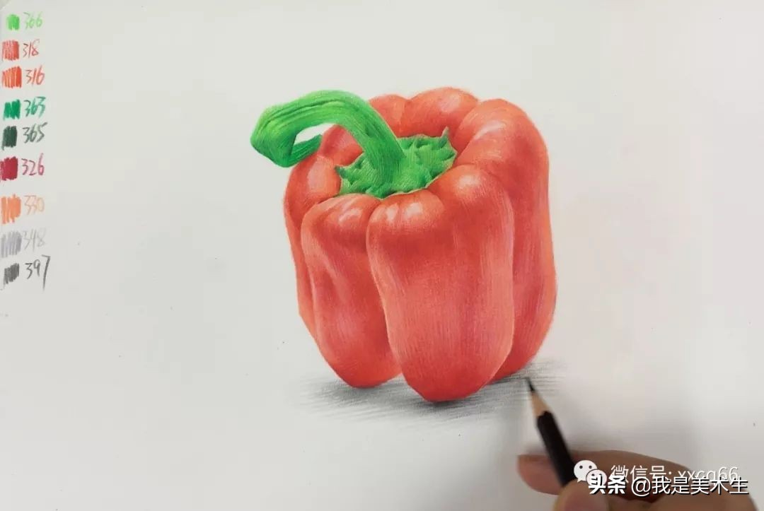 长青椒怎么画彩铅逼真,橘黄色青椒彩铅