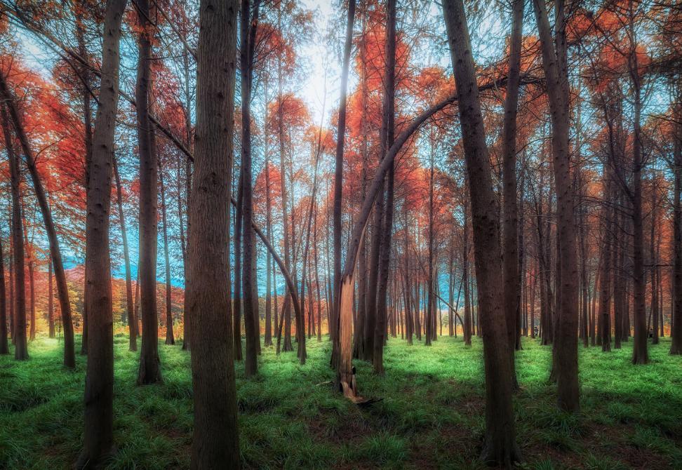 被浙江私藏的小城有多美,宁波最隐藏的海岛