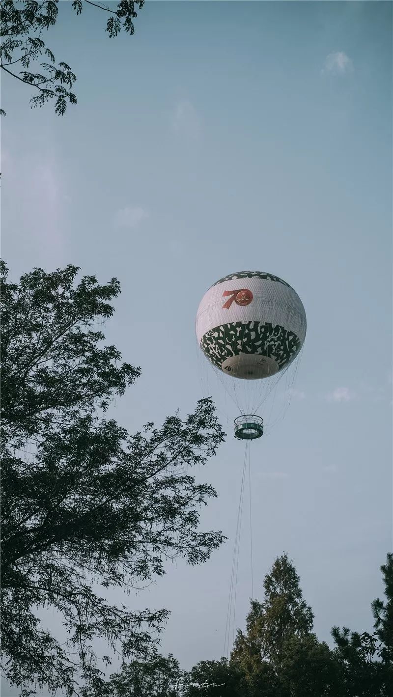西溪天堂令人沉醉的江南梦境,城市的夜晚江南水乡美如画