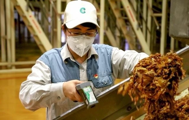 为了钱，一批985硕士在卷烟，河南中烟的回应让烟厂更“卷”了