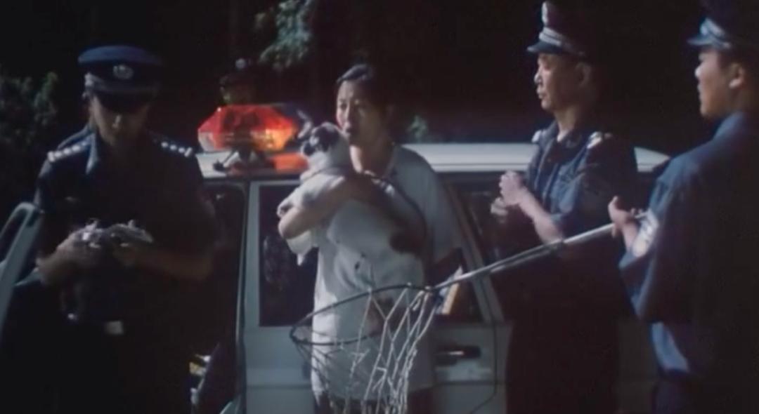 葛优不生孩子,葛优演的最好的一部电影