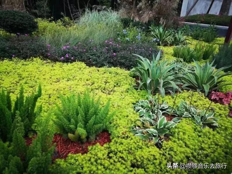 彭祖山风景区究竟什么时候开放,彭祖山景区最新状况