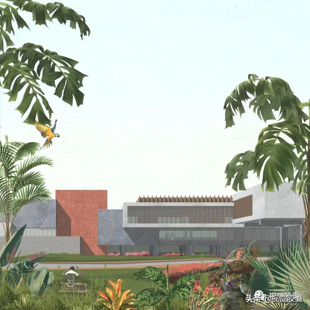 乡村蔬菜大棚的设计,蔬菜精美设计图片