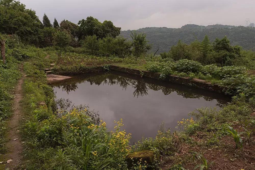 渝北枇杷正黄，冒冒失失穿越铁壁、胜保、斗碗三寨