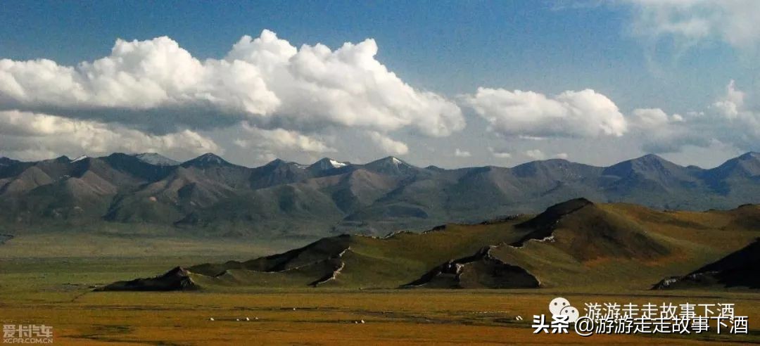 *疆新**自由1：15000公里带狗走全疆（*疆新**全程路书）