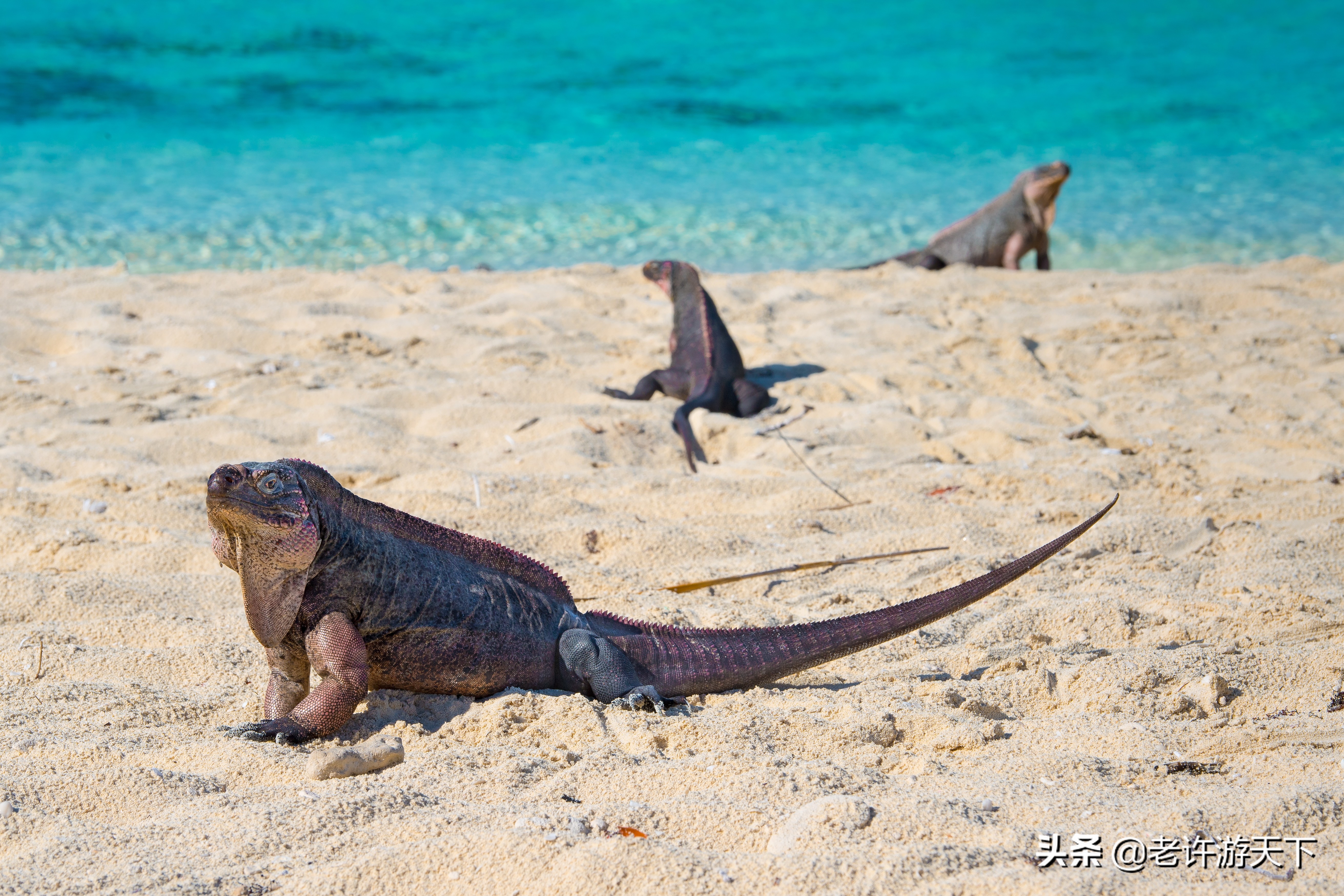 世界有名的海岛旅游胜地,世界10大最奇特海岛