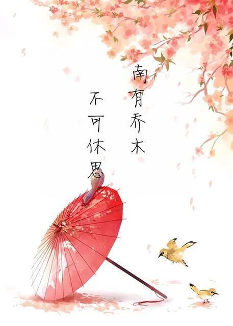 执子之手诗经典语录,诗经中对执子之手与子偕老的感悟