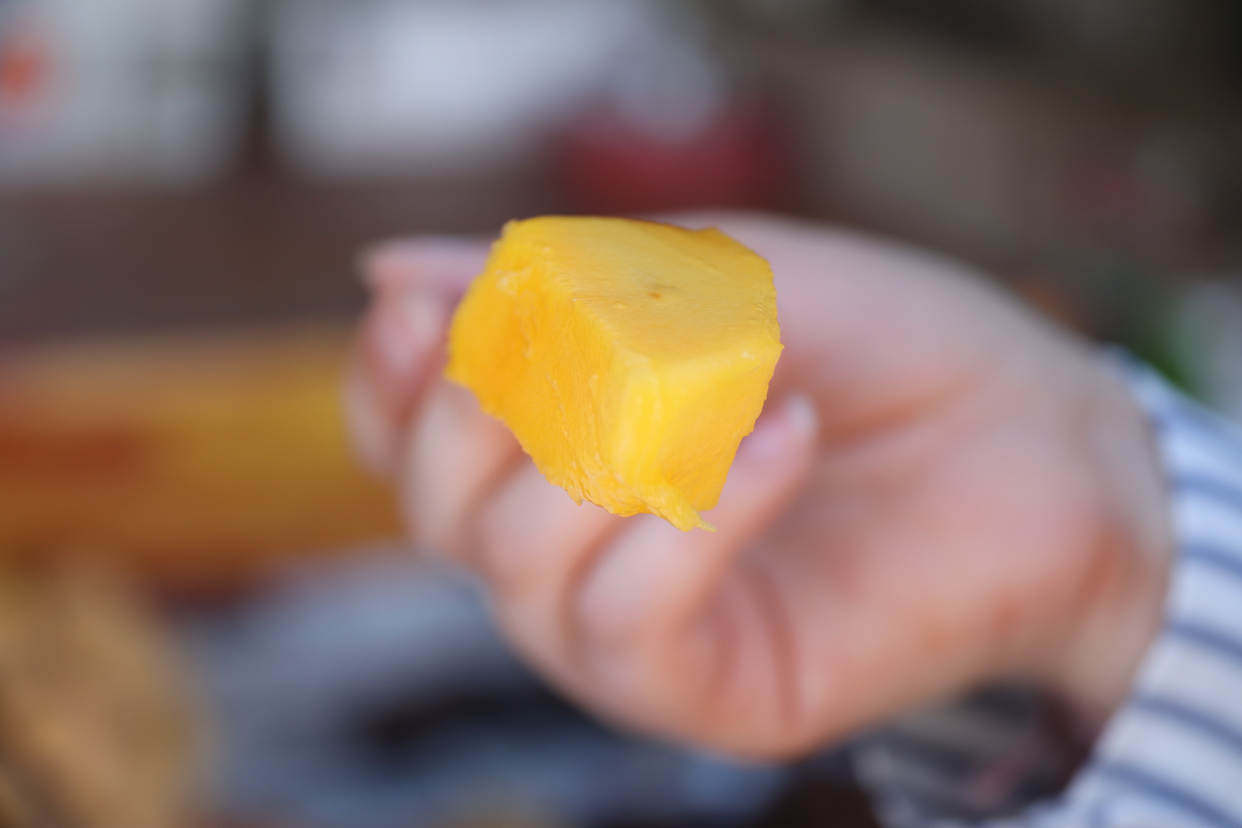 2018马来西亚之旅留影,2019回眸