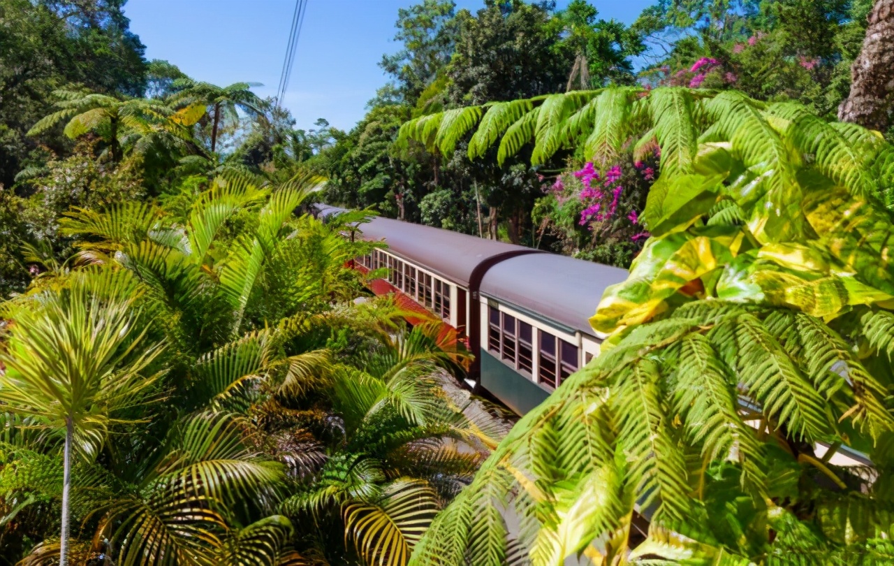 澳大利亚值得孩子去的旅游,春节去澳大利亚旅游