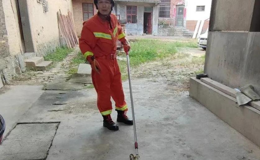 福州38天101起“蛇登门”如此频繁与全球变暖有关吗？如何防蛇？