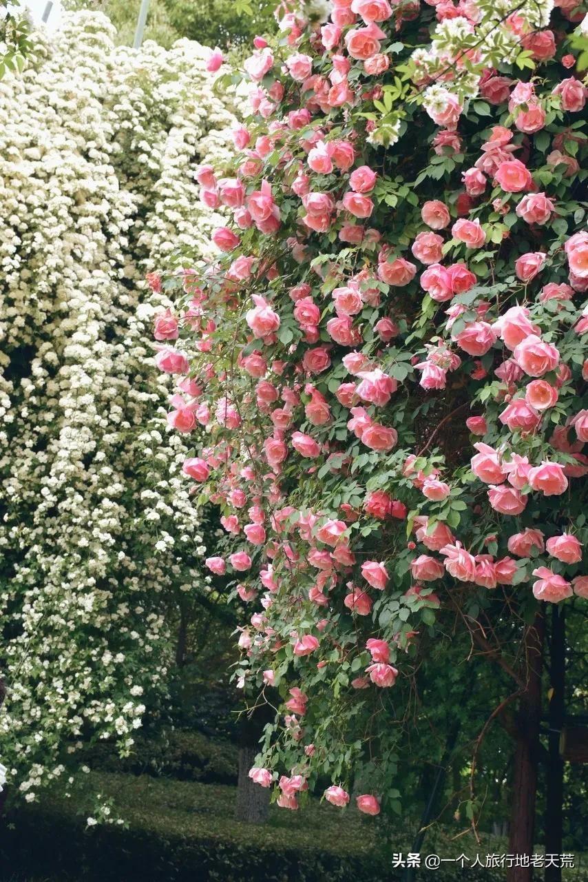 江苏这个“快乐”的城市，颜值不输苏杭，连苏东坡都在这养老