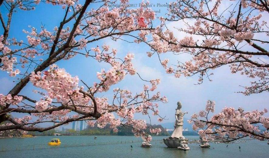 值得一去的南京旅游点,南京旅行攻略过年