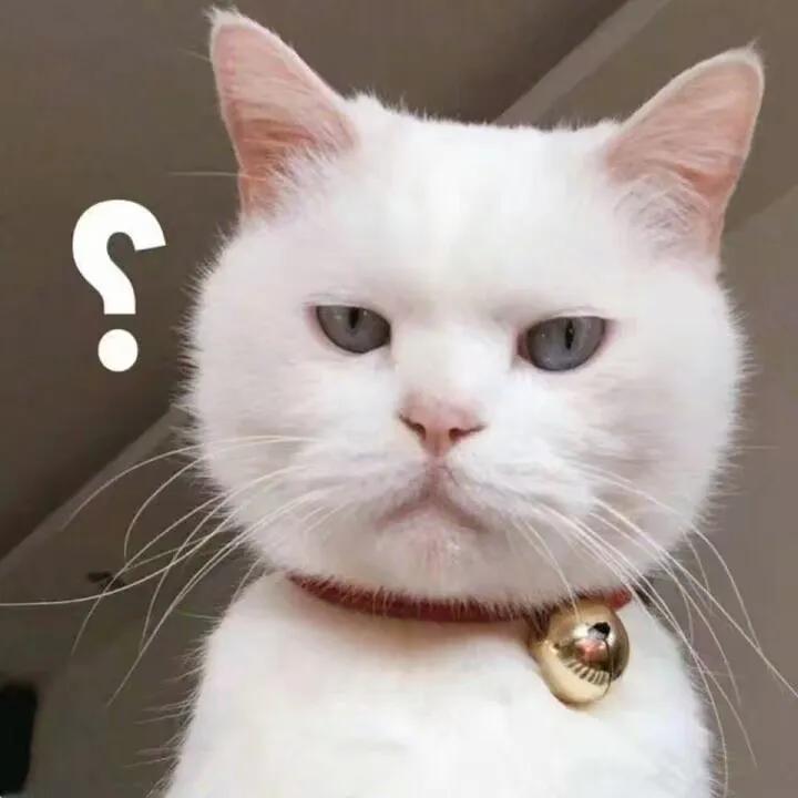 哪些食物和植物对猫咪有害,猫咪不能吃的十种食物有哪些