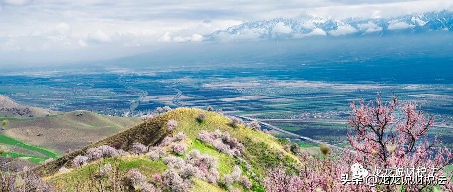 课件学习6：关于企业间借贷的效力、对金融机构的影响等