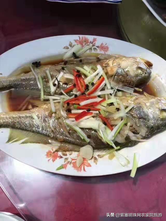 长岛渔家乐干净卫生吃得鲜美,长岛哪个渔家乐好玩