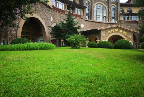 10年如一日,北京这些老小区“青春常驻”