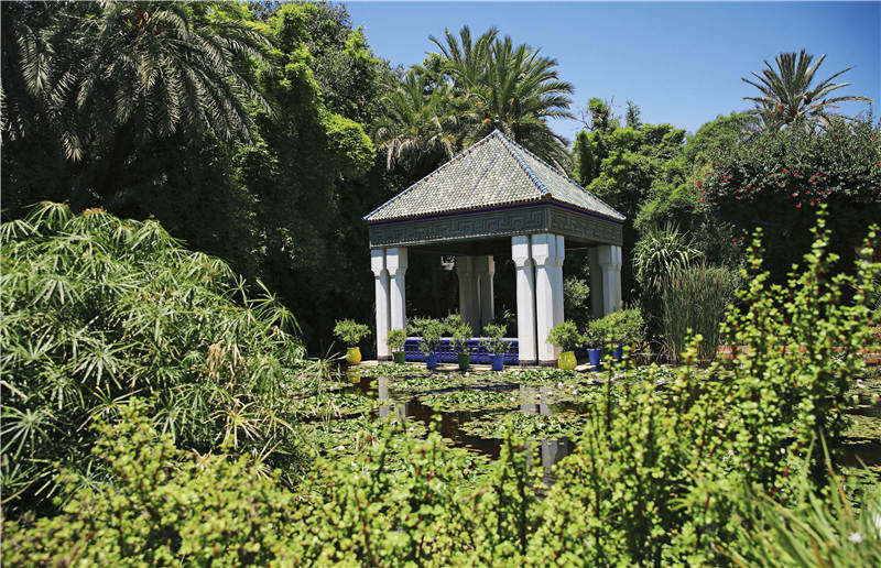 在摩洛哥隐藏于市井的拉巴特花园里，在当地人的回忆和渴望中，我看到了一个真正的摩洛哥