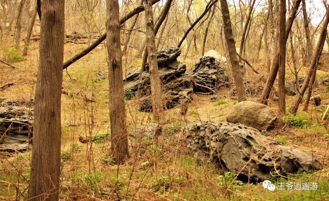 邹城峄山石头怎么形成的,峄山的石头是怎么形成